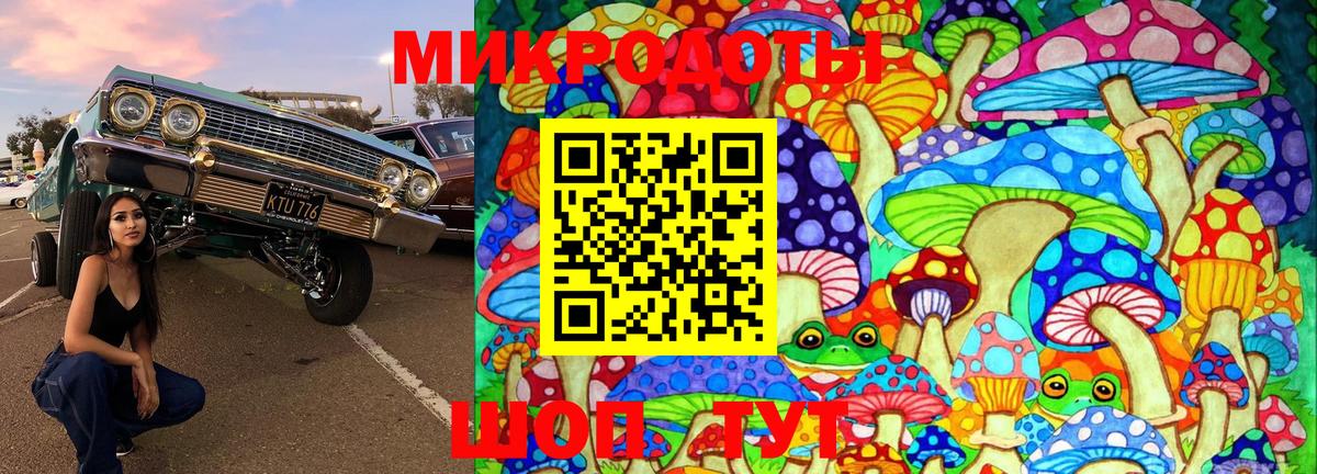 Псилоцибиновые грибы Psilocybine cubensis  Вход с VPN  Псилоцибиновые грибы мухоморы  купить наркотики цена  Димитровград 
