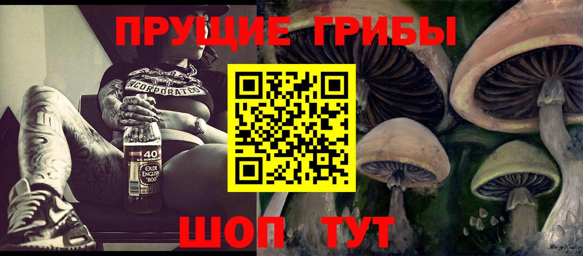 Псилоцибиновые грибы мухоморы Димитровград